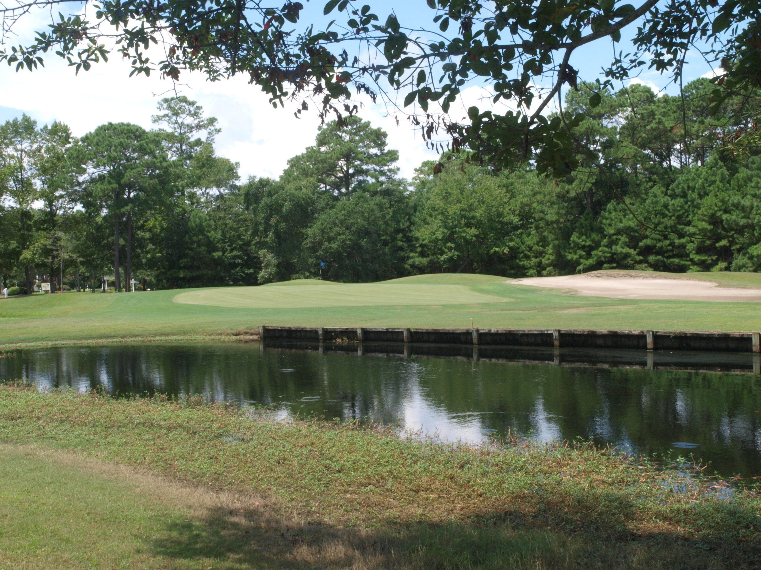 Image of golf ball on tee on grass.